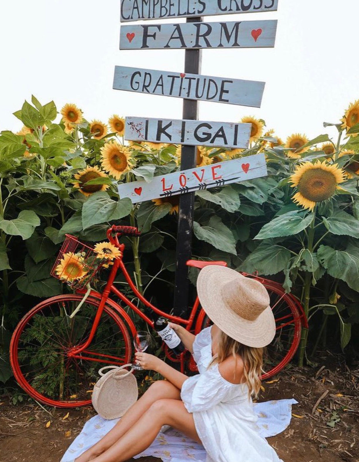 Sunflower Sunset Paint Party | Sunday, 10 Aug | 5:30β8:00 PM