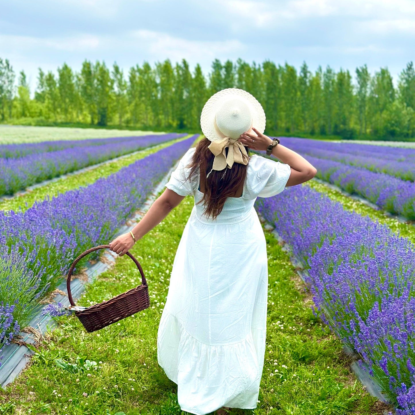 💜 Lavender Sunset Paint Party at Pingle’s Farm – July 20, Sunday |6:00 Pm to 8:30 Pm