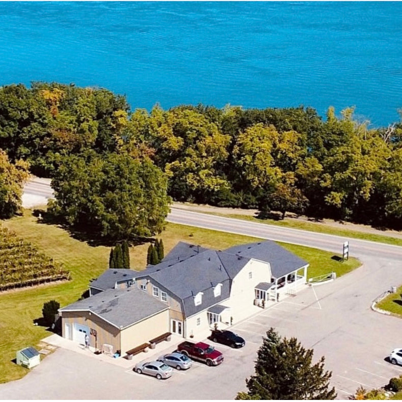 Niagara-on-the-Lake Paint and Sip Experience at Riverview Cellars Winery 13th September| 12:00 Pm to 2:30 Pm
