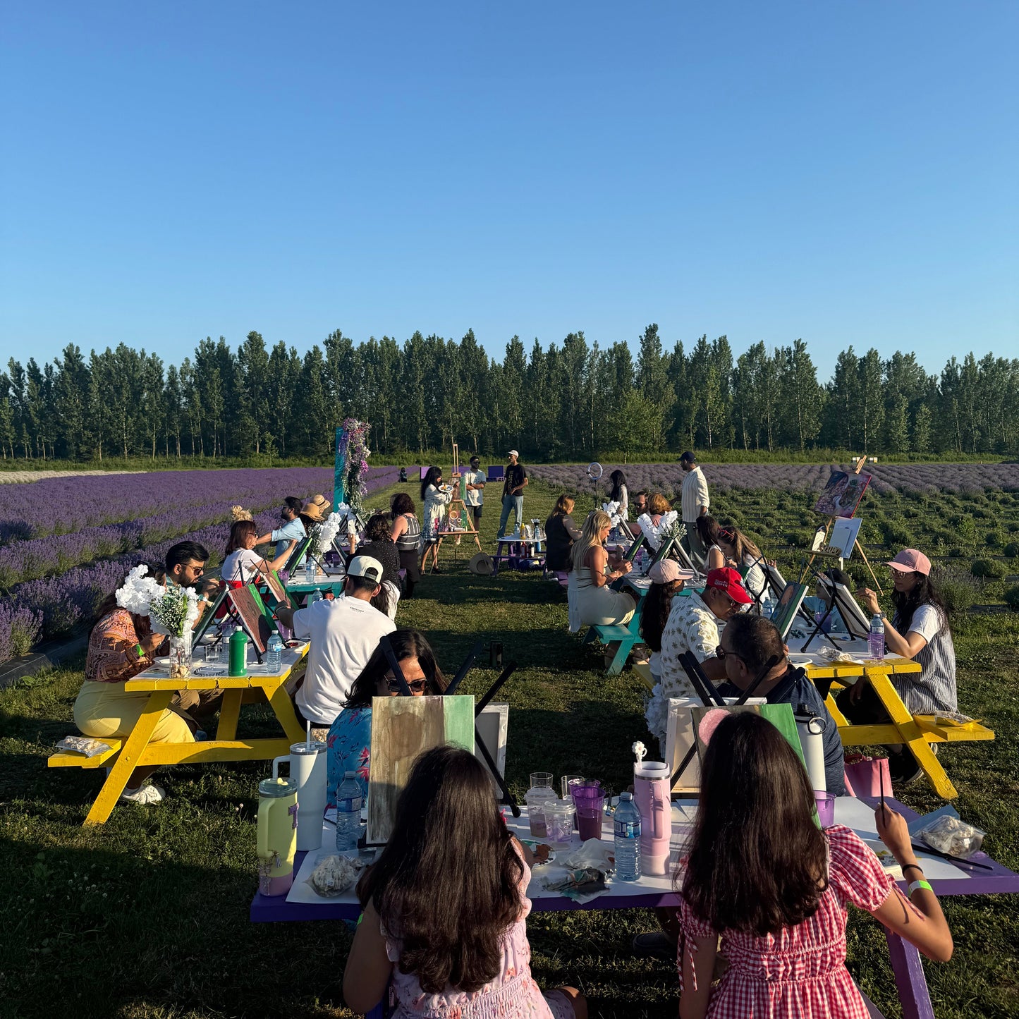 💜 Lavender Sunset Paint Party at Pingle’s Farm – July 20, Sunday |6:00 Pm to 8:30 Pm