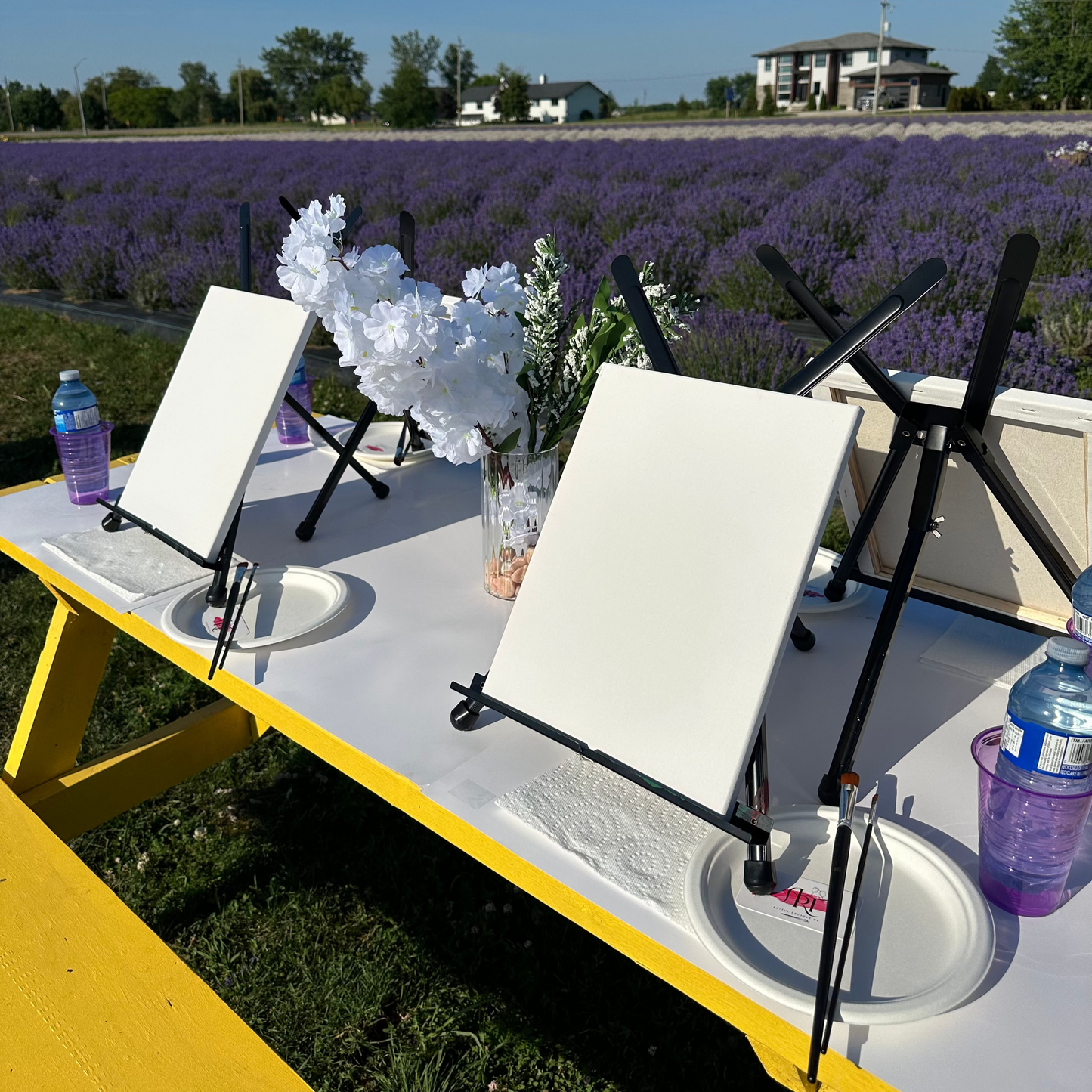💜 Lavender Sunset Paint Party at Pingle’s Farm – July 20, Sunday |6:00 Pm to 8:30 Pm