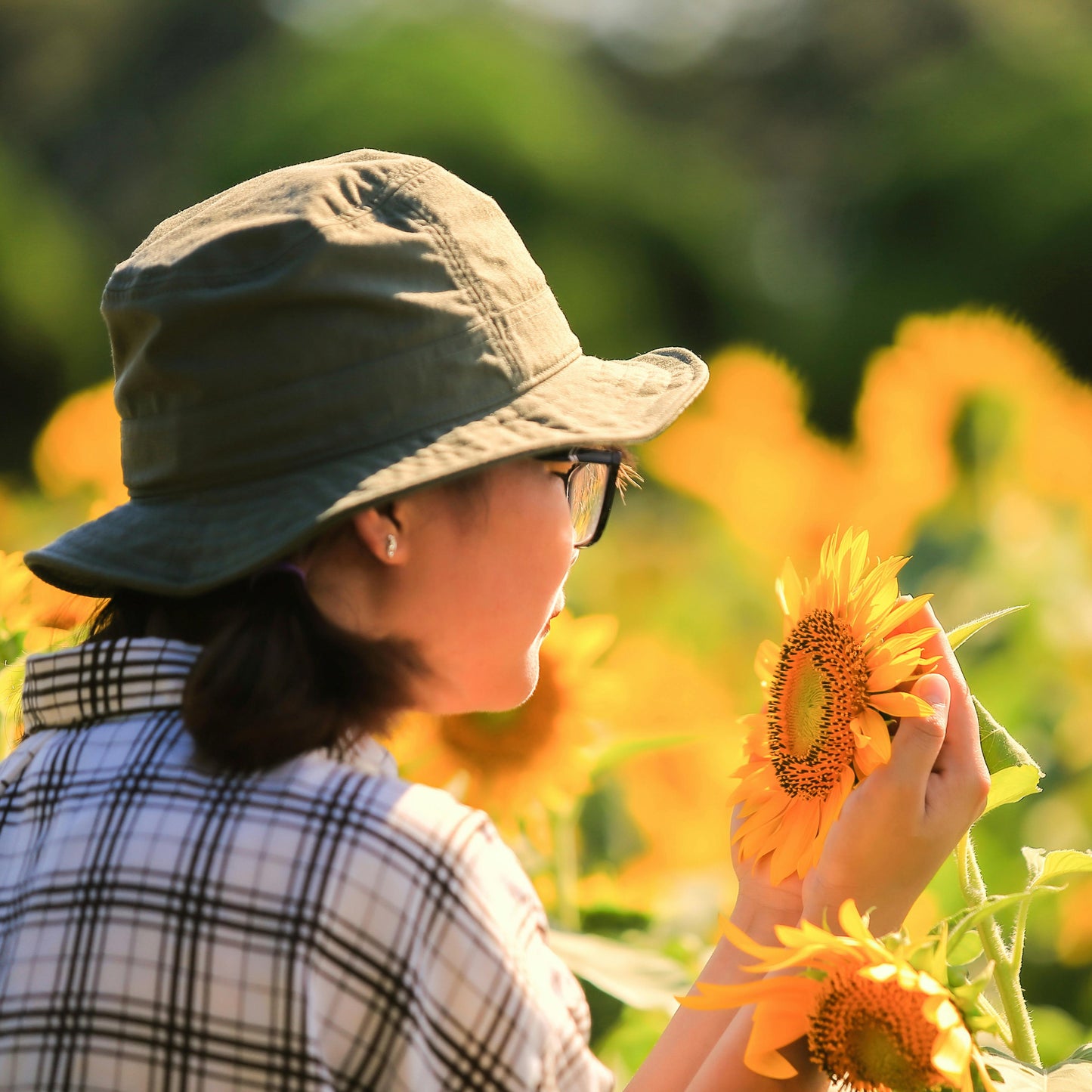 Sunflower Sunset Paint Party | Sunday, 10 Aug | 5:30β8:00 PM