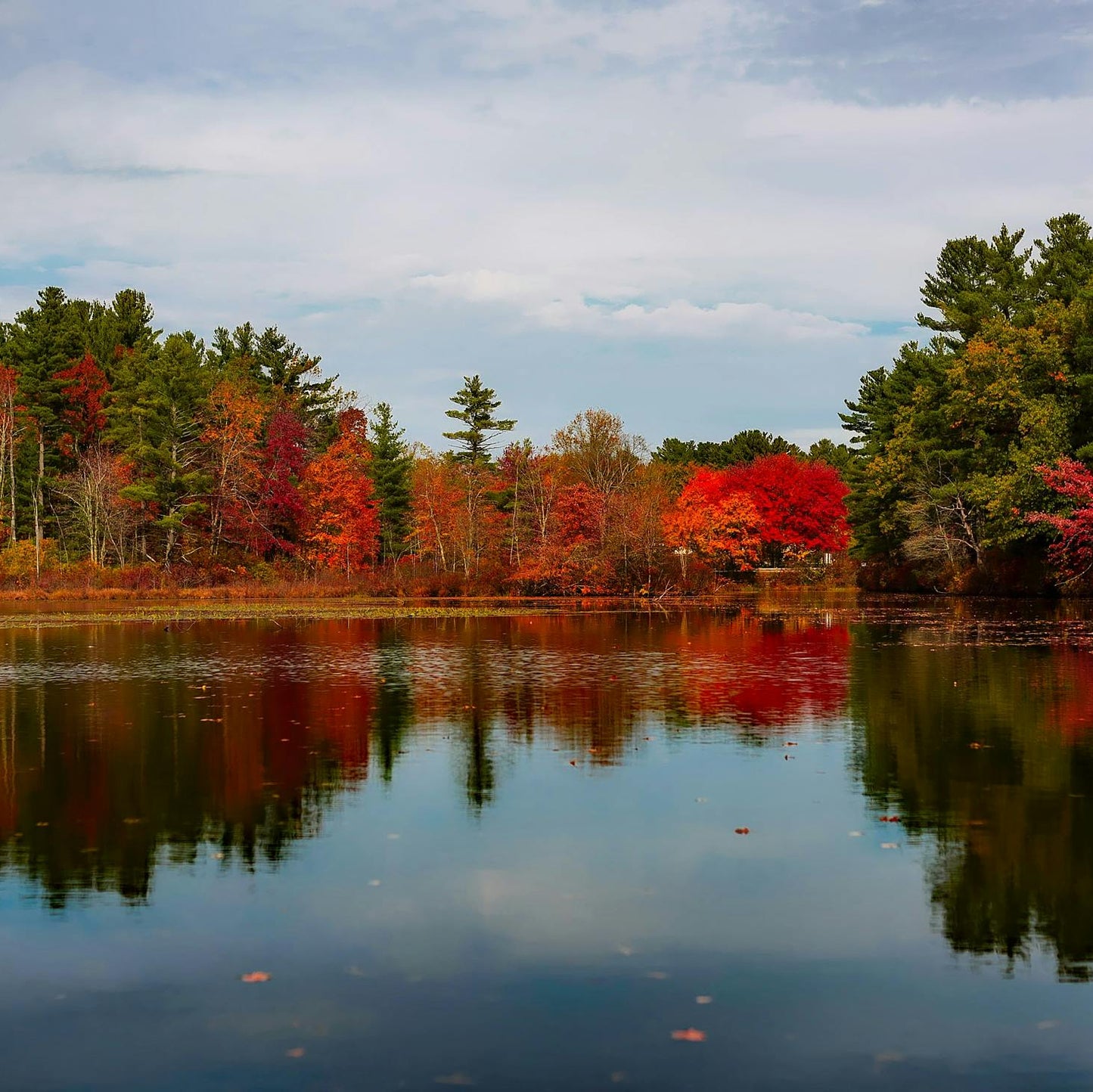 π Autumn by the Pond at Tranquility Trails Farm β A Paint, Sip & Create Experience