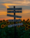 Sunset Sunflower Paint & Sip at Campbell's Cross Farm | 8th August, 5:30 Pm - 8:00 Pm