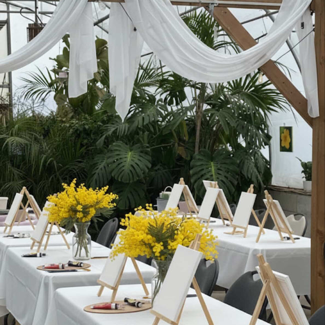 Women’s Day Paint & Sip | Mimosa Workshop at Angas Farm, Toronto