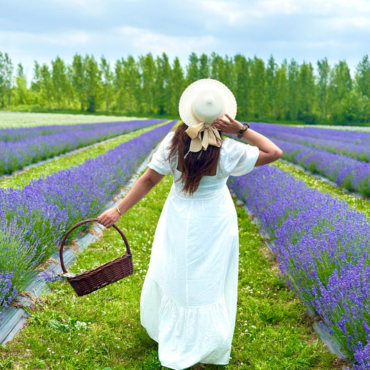 💜 Lavender Sunset Paint Party at Pingle’s Farm – July 20, Sunday |6:00 Pm to 8:30 Pm