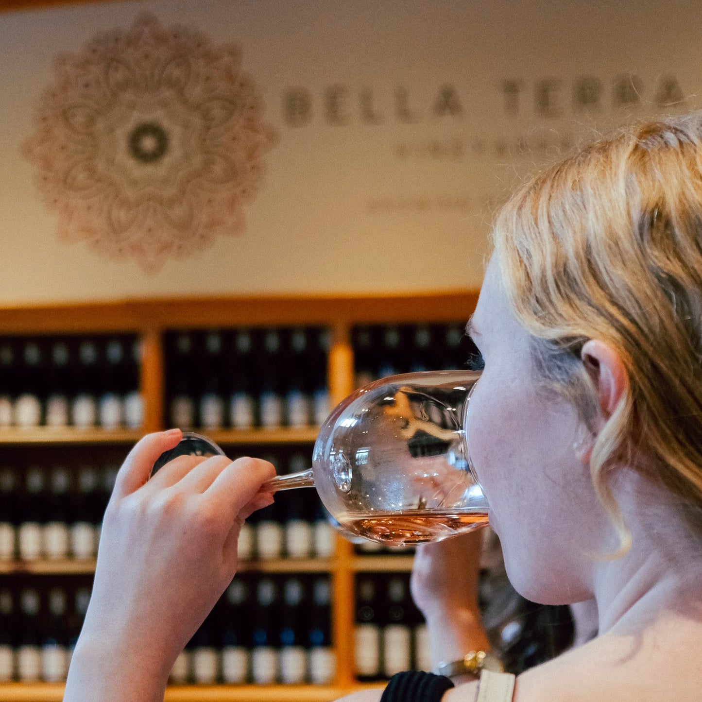Sip & Paint at Bella Terra Vineyards