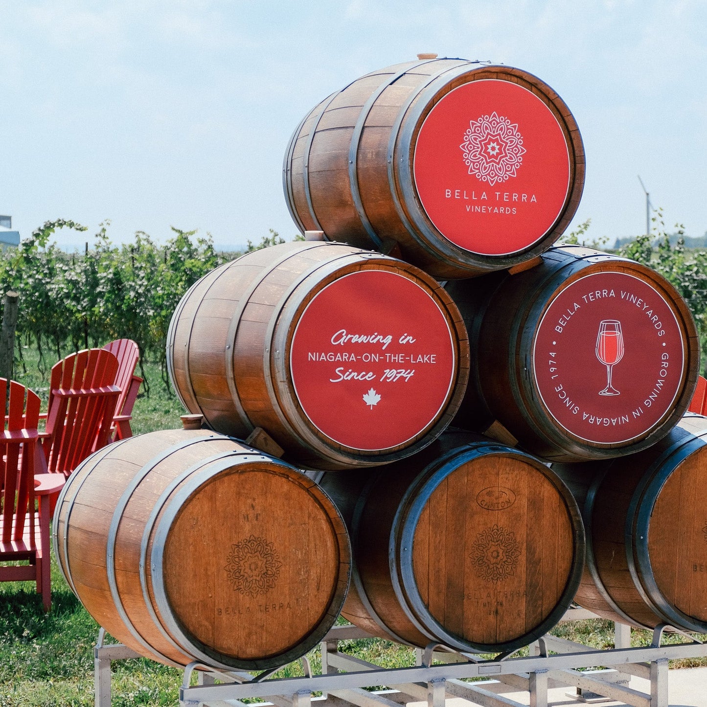 Sip & Paint at Bella Terra Vineyards