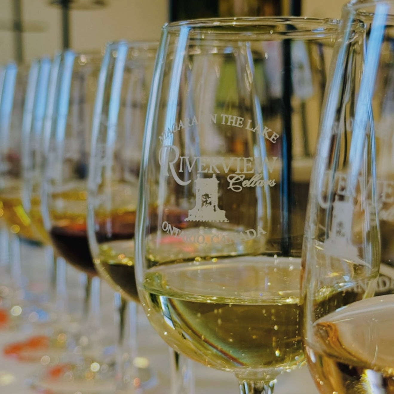 Niagara-on-the-Lake Paint and Sip Experience at Riverview Cellars Winery 12th July | 12:00 Pm to 3:00 Pm