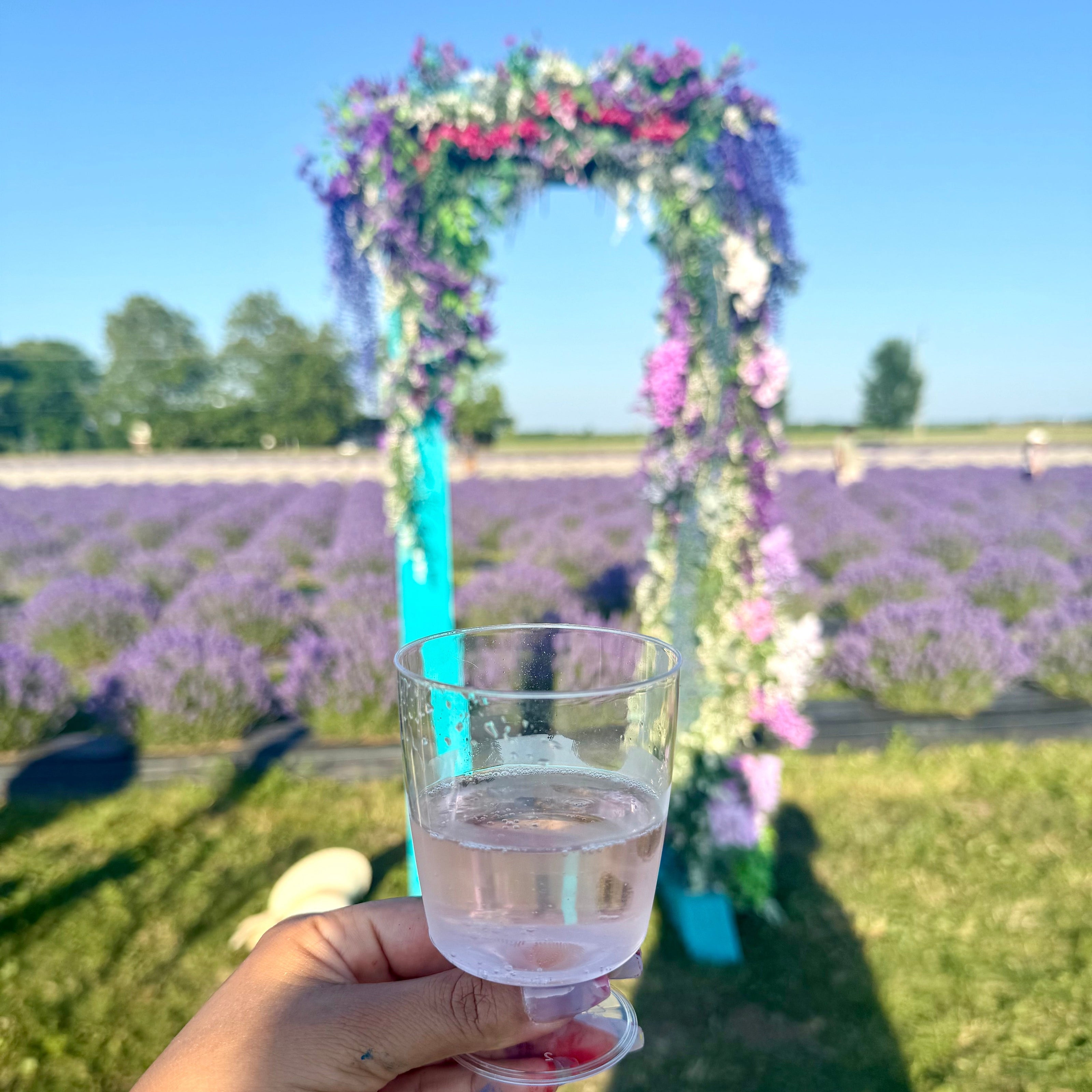 Lavender Dreams: Sunset Paint Party at Neob Lavender Farm, Niagara on the lake | 28th June