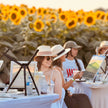 Sunset Sunflower Paint & Sip at Campbell's Cross Farm | 8th August, 5:30 Pm - 8:00 Pm