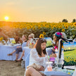 Sunset Sunflower Paint & Sip at Campbell's Cross Farm | 8th August, 5:30 Pm - 8:00 Pm