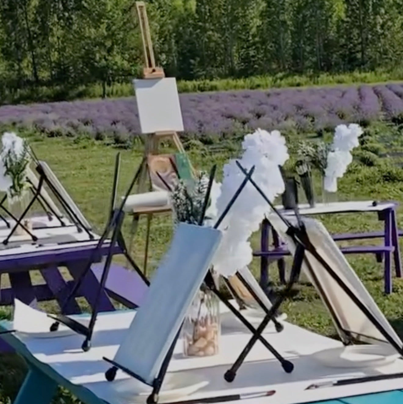 Lavender Dreams: Sunset Paint Party at Neob Lavender Farm, Niagara on the lake | 28th June