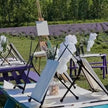 Lavender Dreams: Sunset Paint Party at Neob Lavender Farm, Niagara on the lake | 28th June