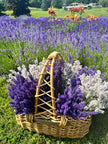 Lavender Field Sunset Paint & Sip at Tranquility Trail Farm Ontario, Saturday, July 5th 2026