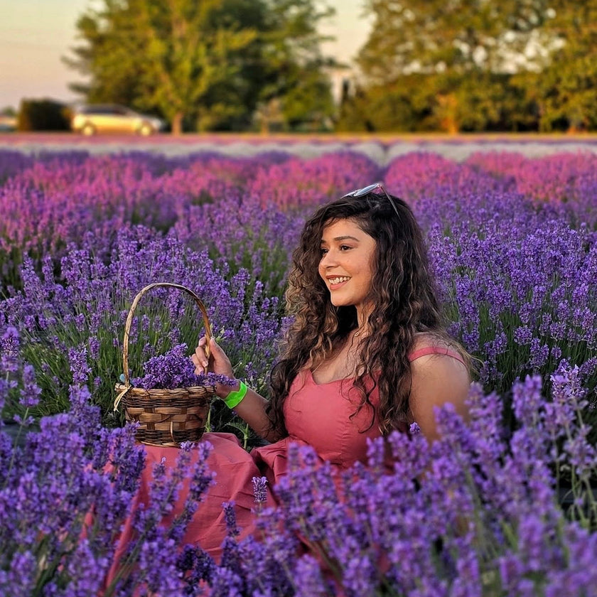 Lavender Dreams: Sunset Paint Party at Neob Lavender Farm, Niagara on the lake | 28th June