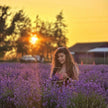 Lavender Dreams: Sunset Paint Party at Neob Lavender Farm, Niagara on the lake | 28th June