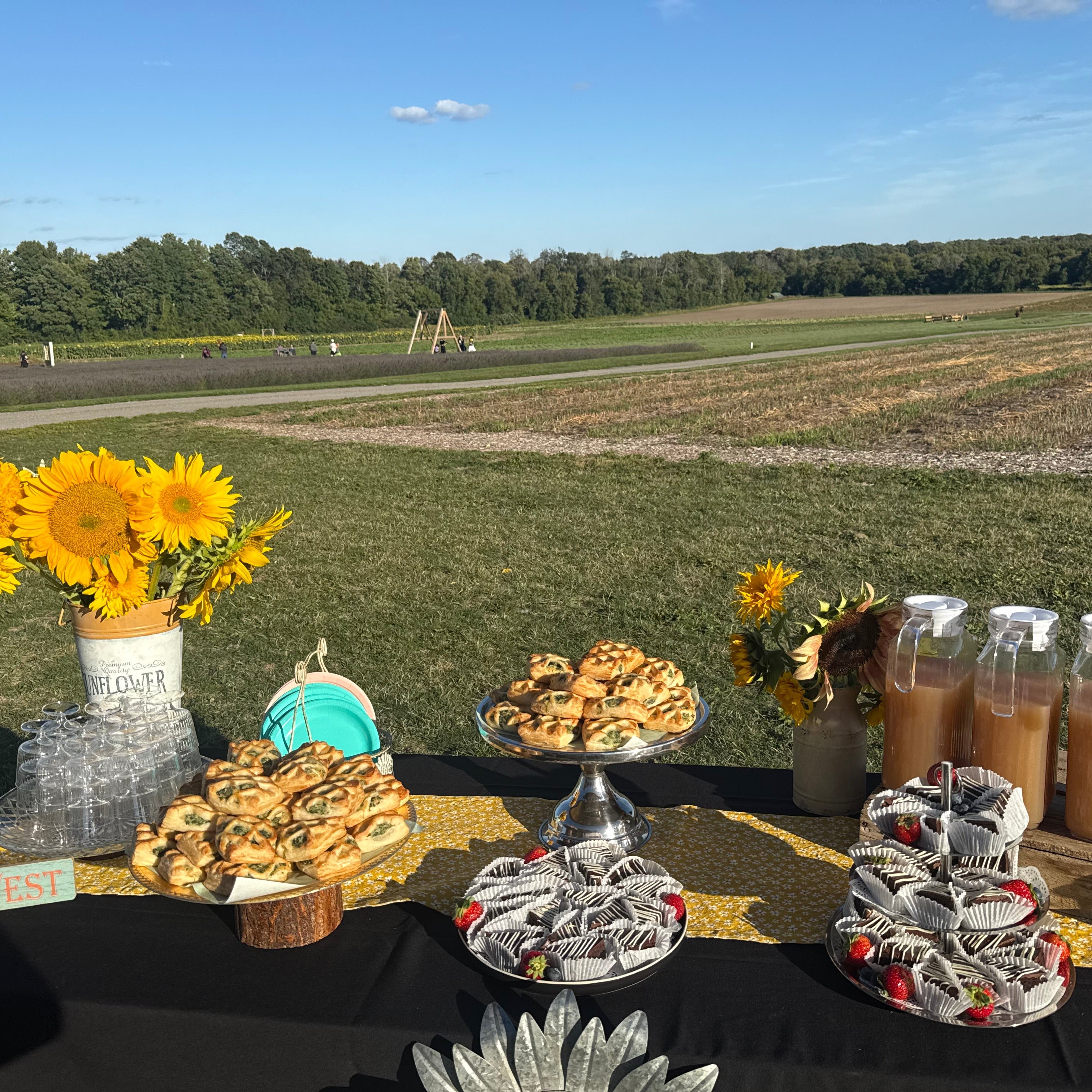 Sunflowers Sunset Paint Party at Pingle’s Farm, 23rd August,2026 Saturday 5:00 Pm to 7:30 Pm
