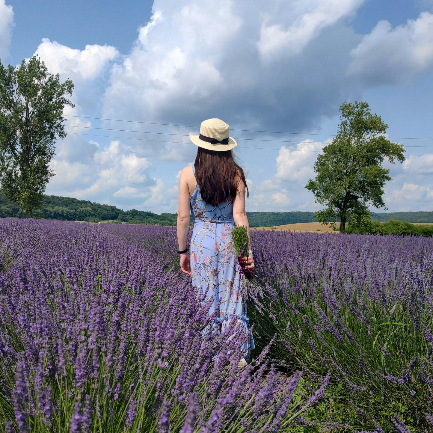 💜 Lavender Dreams: Sunset Paint Party at Neob Lavender Farm| 29th June