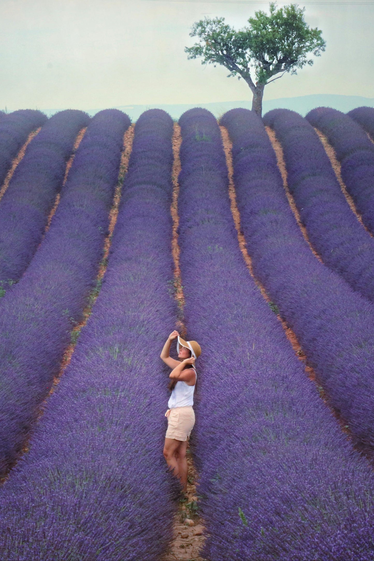 💜 Lavender Dreams: Sunset Paint Party at Neob Lavender Farm| 29th June