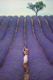 Lavender Dreams: Sunset Paint Party at Neob Lavender Farm, Niagara on the lake | 28th June