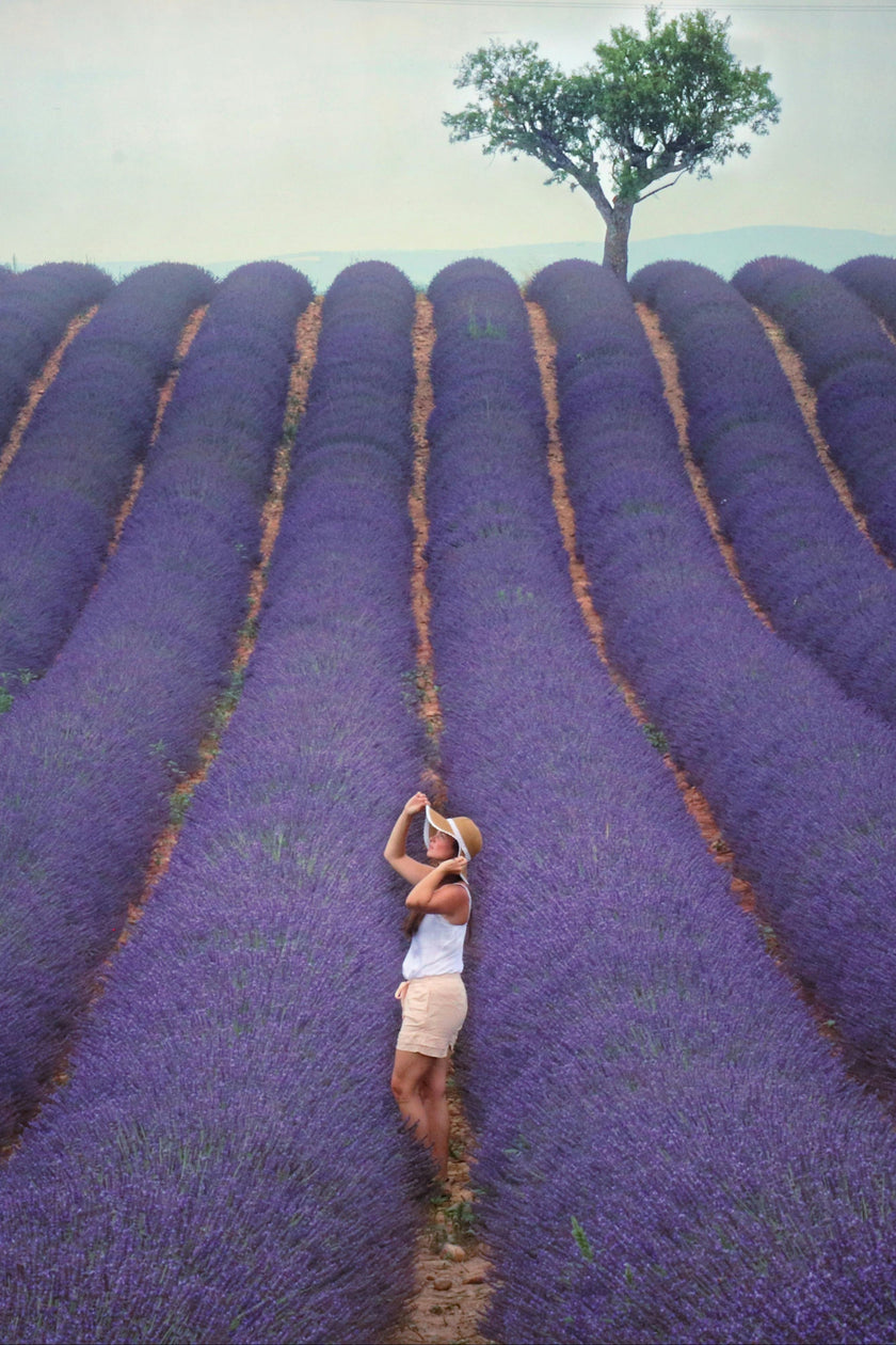 Lavender Dreams: Sunset Paint Party at Neob Lavender Farm, Niagara on the lake | 28th June