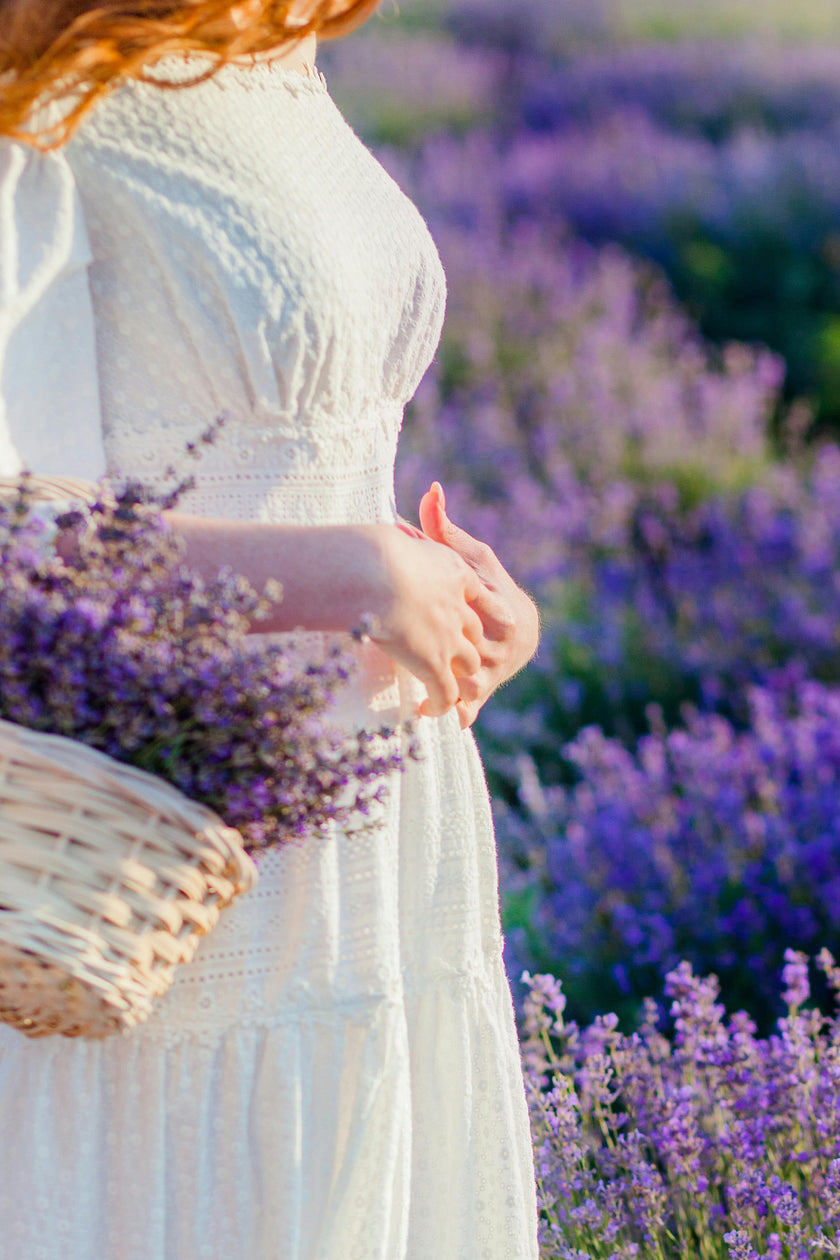 Lavender Dreams: Sunset Paint Party at Neob Lavender Farm, Niagara on the lake | 28th June